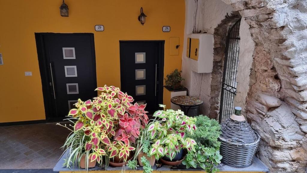 Beautifully Restored Romantic Apartment In The Centre Of Historic ดอลเชโด ภายนอก รูปภาพ